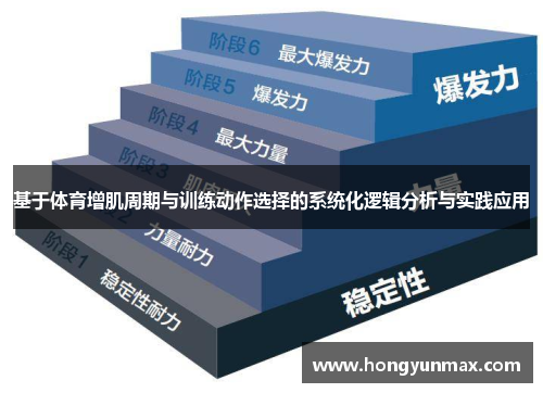 基于体育增肌周期与训练动作选择的系统化逻辑分析与实践应用