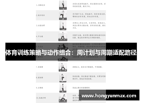 体育训练策略与动作组合：周计划与周期适配路径