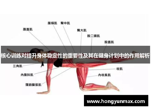 核心训练对提升身体稳定性的重要性及其在健身计划中的作用解析